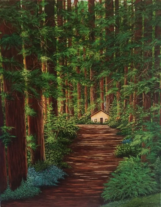 Sitting Cozy in the Redwoods - Merry Gifts