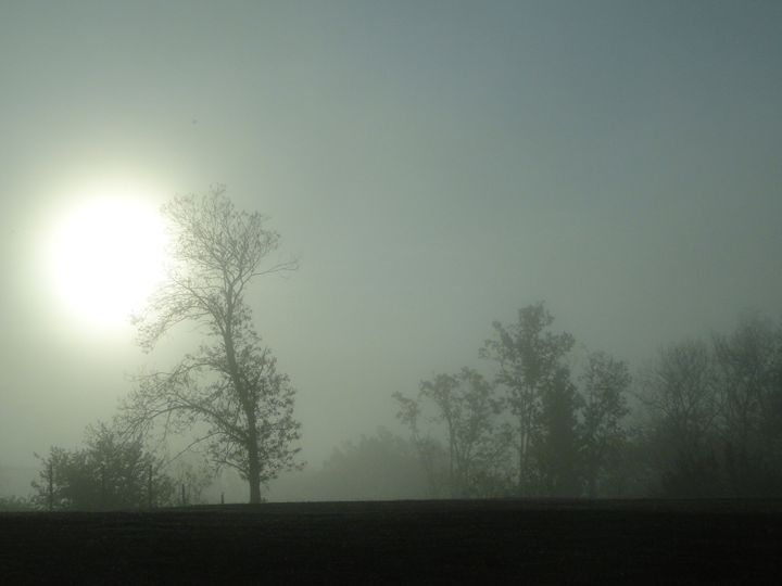 Brouillard matinal (morning fog) - V.R-L