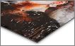 Metal Print