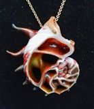 Glass Nautilus shell pendant