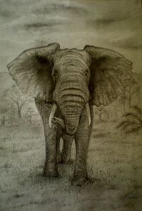 Elephant in the Midst