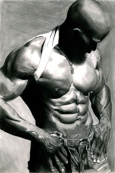 Muscles - Aapee's Art