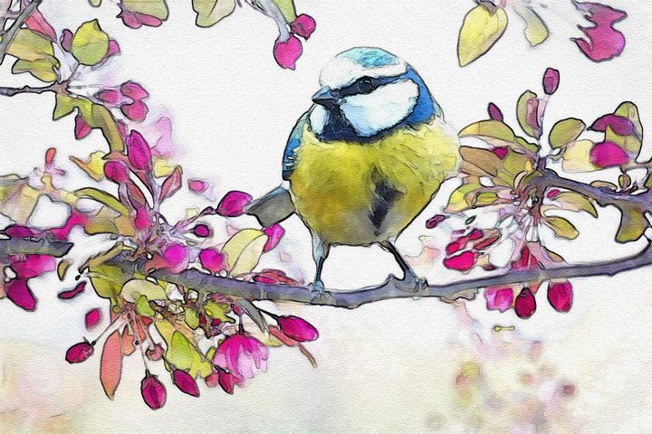 Spring Bird Water Color Art - Pixiflow - Paintings & Prints
