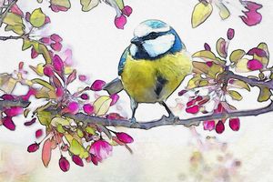 Spring Bird Water Color Art