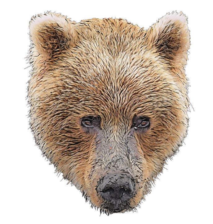 Bear Face Furry Brown Long Nose - Giggu - Paintings & Prints