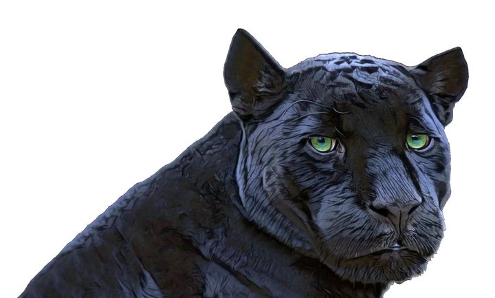 Black Panther Panthera Face Black - Giggu