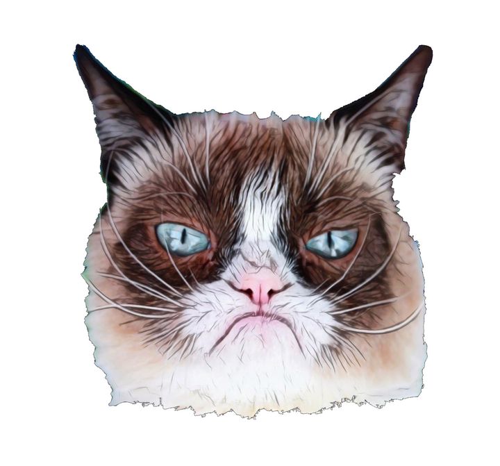 Snowshoe Grumpy Cat brown masked - Giggu - Paintings & Prints, Abstract,  Collage - ArtPal