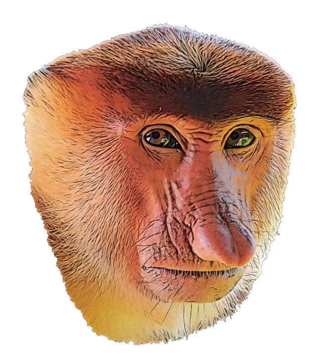 Monkey Face Diamond Painting Kit