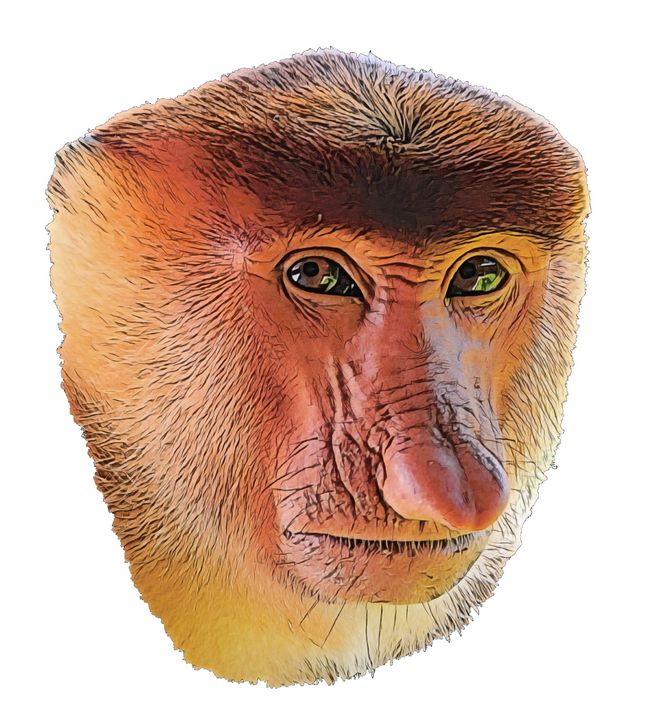 Side Eye Monkey Sticker