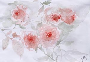 Healing roses