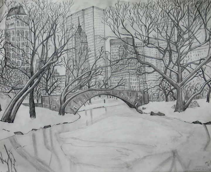 Central Park in winter. - Tom Carlson