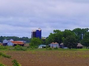 Interstate Farm