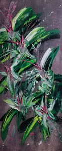 Lillies