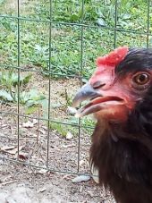 Finny does art - Photography