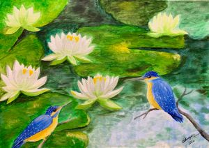 Water lilies and Kingfishers