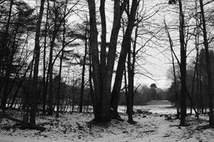 Opening to Winter Field (BW)