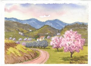 W1031 - Landscape in Cyprus