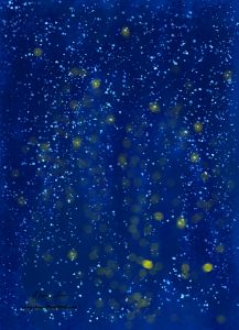 "Fireflies & the starry sky"