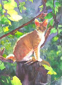 Sunshine cat 21,5Х29,5cm