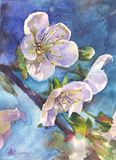 original watercolor