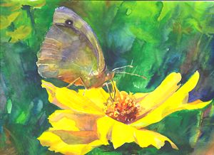 Flower and butterfly#2