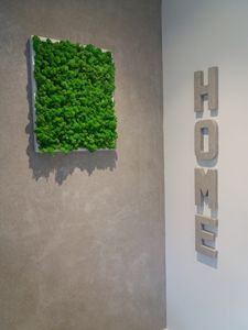 Natural moss art 3d - ABStyle Design