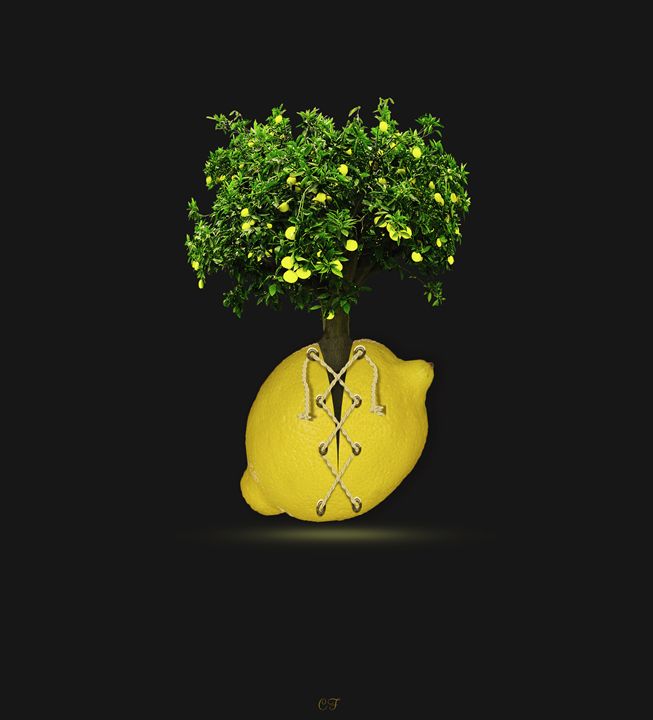 le citron lacet - CF