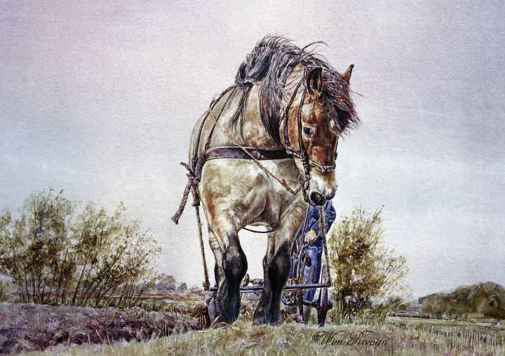 LOTTE, THE LAST FARM HORSE - Wim Romijn Art