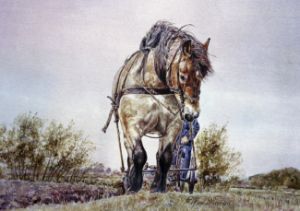 LOTTE, THE LAST FARM HORSE