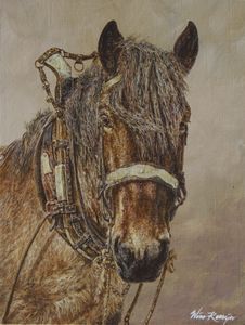Sara, one of the last farm horse