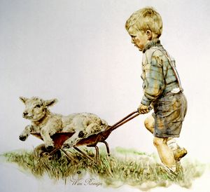Farm boy with sheep lamb