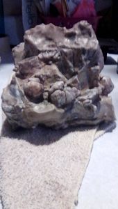Fairy Tell Fossil - Joni Matlock mountainwaitress@gmail.com