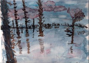 Trees & Reflections