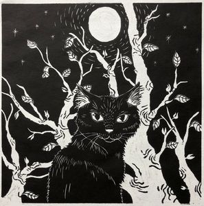 The Night