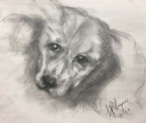 Loving Dog