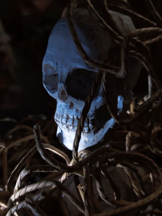 Skull and bones - artaffairs RP