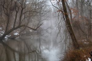Stony Brook in Fog