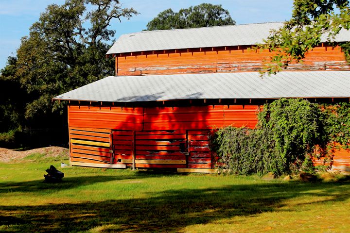 Shade At The Old Red Barn Aspen Willow Fine Art Photography