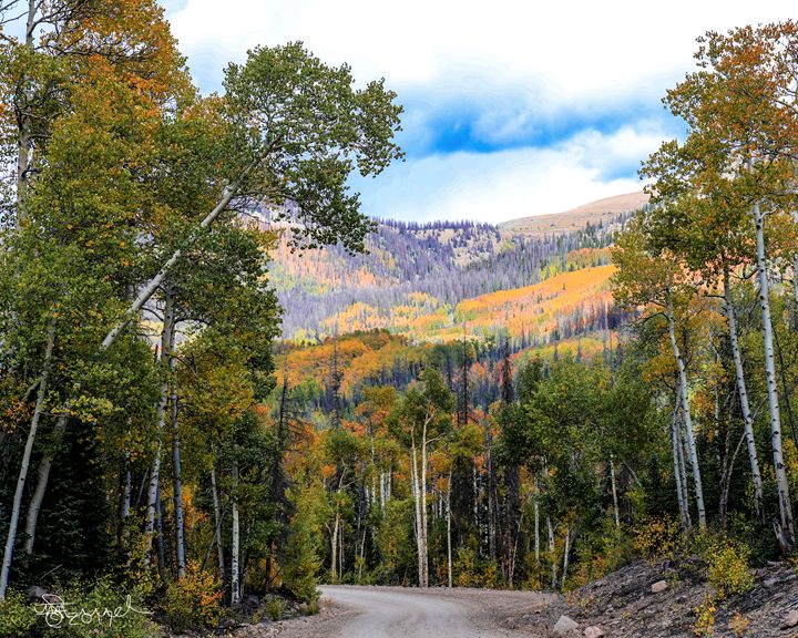 Bachelor Loop - Aspen Willow Fine Art Photography Gallery - Photography ...