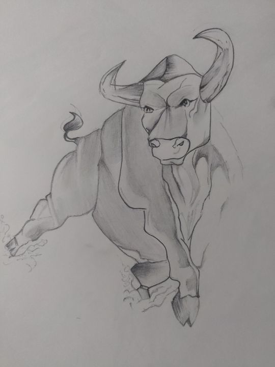 Bull - Fundraw