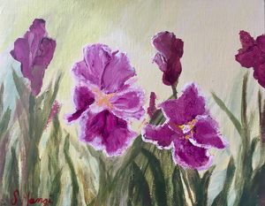Lovely Purple Irises