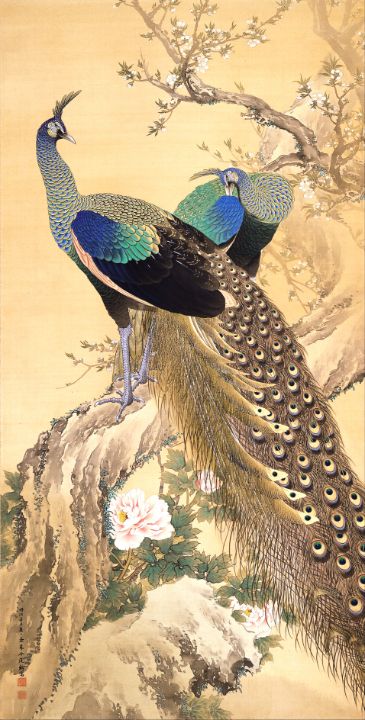A Pair of Peacocks in Spring, - Art_Collection_LP - Drawings ...