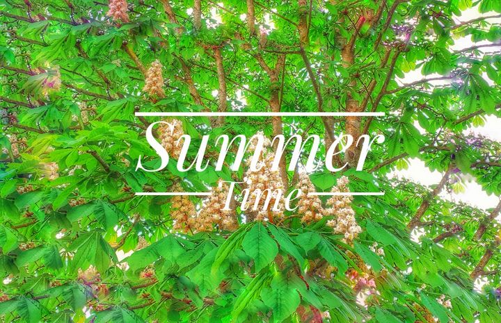 Summer time - Roseartiste