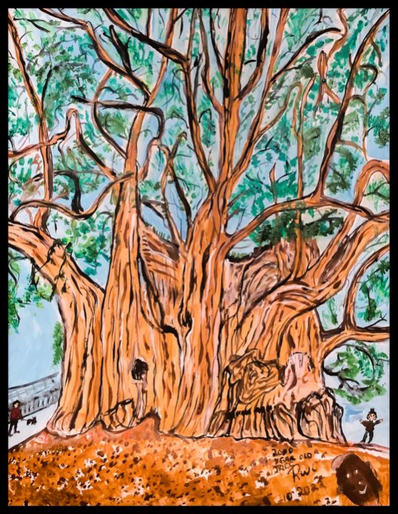 2000 year old Tree - Roberts Art