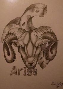 Learn How to Draw Aries Zodiac Sign (Zodiac Signs) Step by Step : Drawing  Tutorials