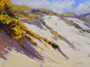 Coastal Dunes - Graham Gercken Fine Art - Paintings & Prints