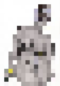 African roots - Nudes, beauty, provocations, nature by Hans Anders