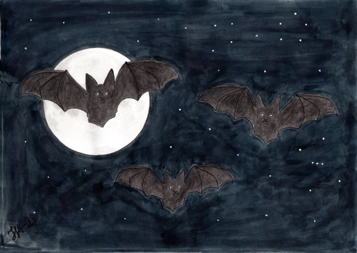 Bats in flight - Nudes, beauty, provocations, nature by Hans Anders ...