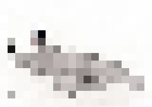 The apple - Nudes, beauty, provocations, nature by Hans Anders