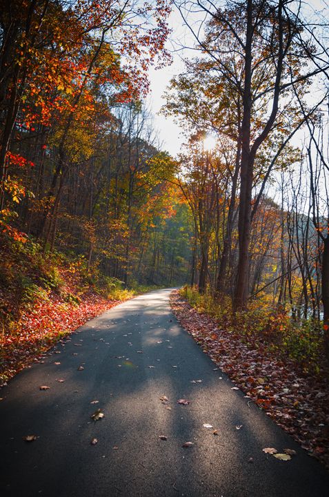 Path on Autumn Day - Nick Mateja Photography